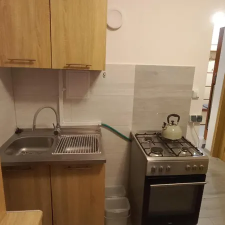 Apartament Juki, Obok Katowice Wynajem Na Doby, Krotkoterminowy, 2 Pokoje Balkon, 50M2,- Po Kapitalnym Remoncie 2-Ga Sypialnia Jest Czescia Salonu Blisko Centrum Leczenia Oparzen 2,5 Km Siemianowice Slaskie Exterior photo